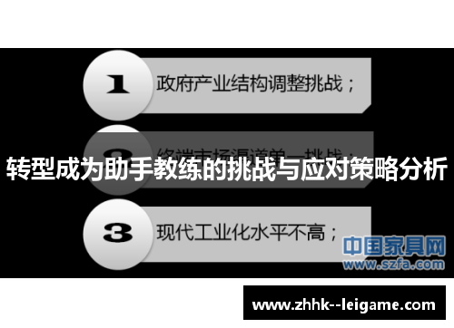 转型成为助手教练的挑战与应对策略分析