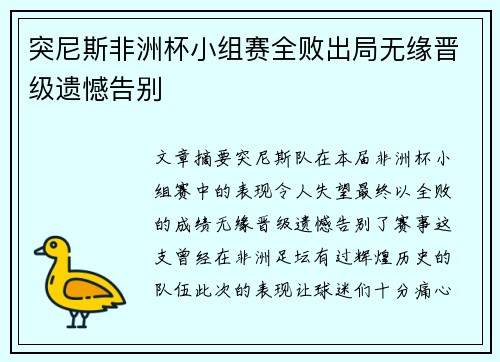 突尼斯非洲杯小组赛全败出局无缘晋级遗憾告别